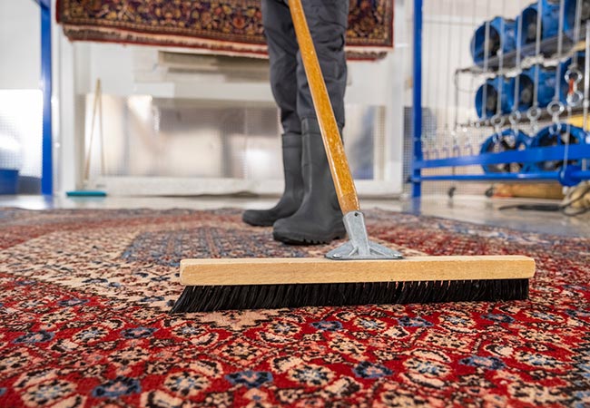 rug cleaning in levin