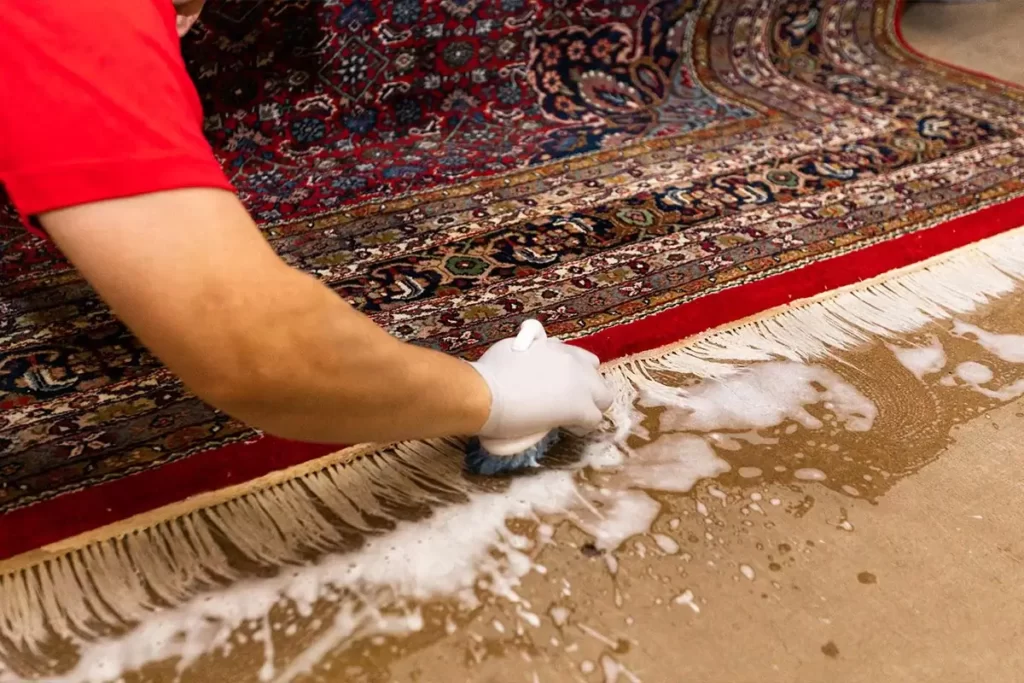 professional rug cleaning in kapiti
